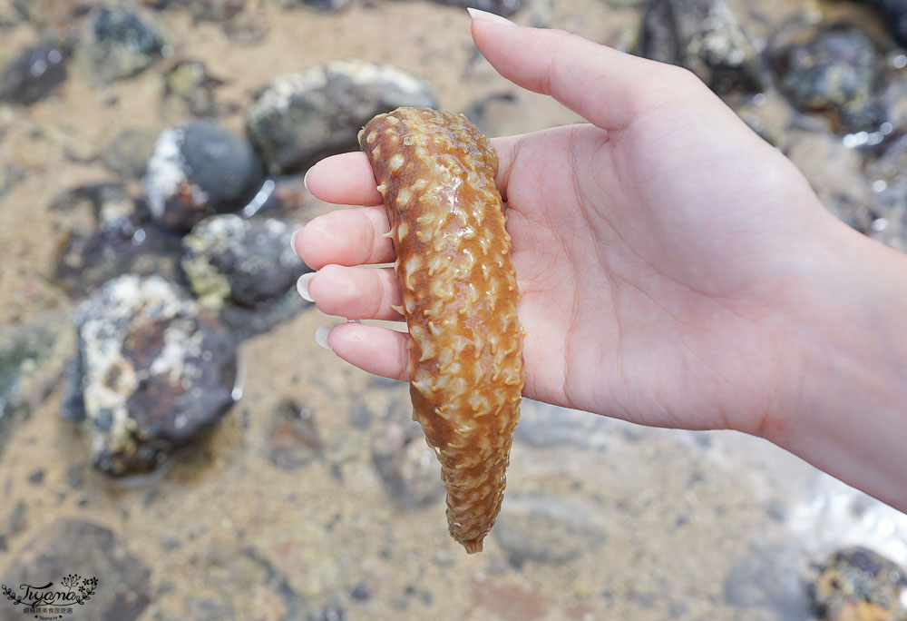 澎湖景點|奎壁山摩西分海，散步潮間帶探索海洋生態 @緹雅瑪 美食旅遊趣
