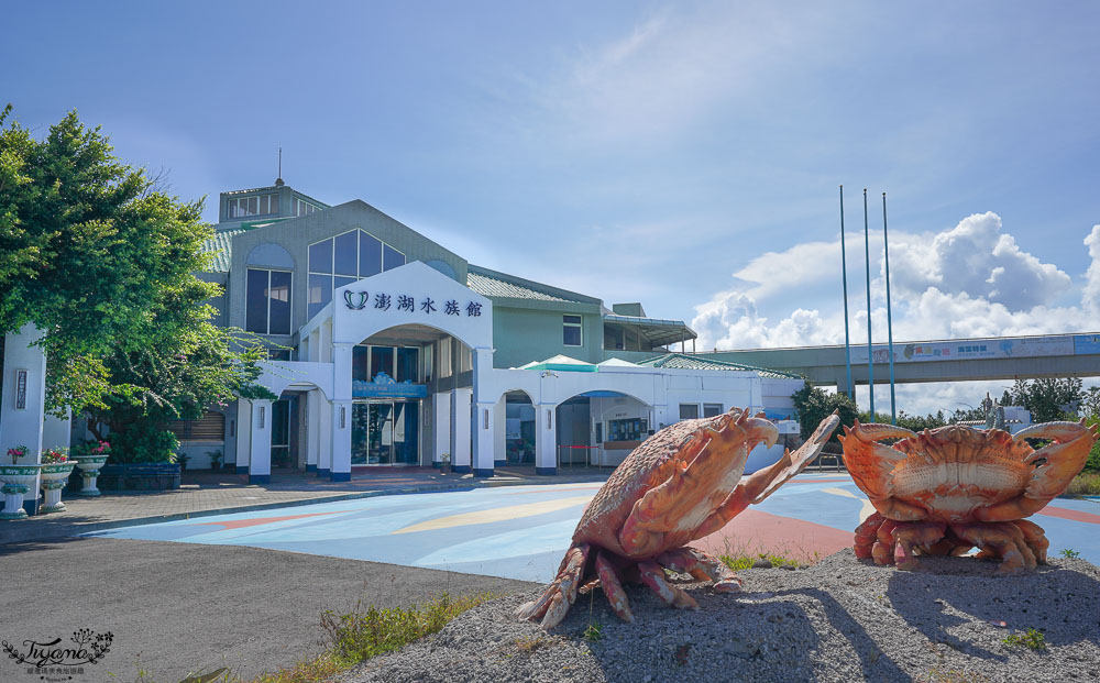 澎湖親子景點推薦，澎湖水族館門票、餵食秀時間、觸摸池開放時間 @緹雅瑪 美食旅遊趣