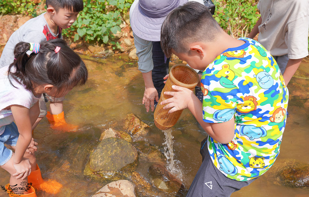 南投埔里親子體驗活動》桃米魚蝦生態探索，親子同樂溯溪生態觀察，知性之旅好好玩！！ @緹雅瑪 美食旅遊趣