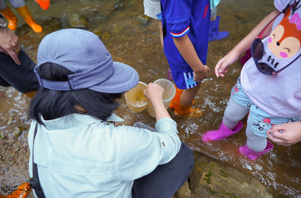南投埔里親子體驗活動》桃米魚蝦生態探索，親子同樂溯溪生態觀察，知性之旅好好玩！！ @緹雅瑪 美食旅遊趣
