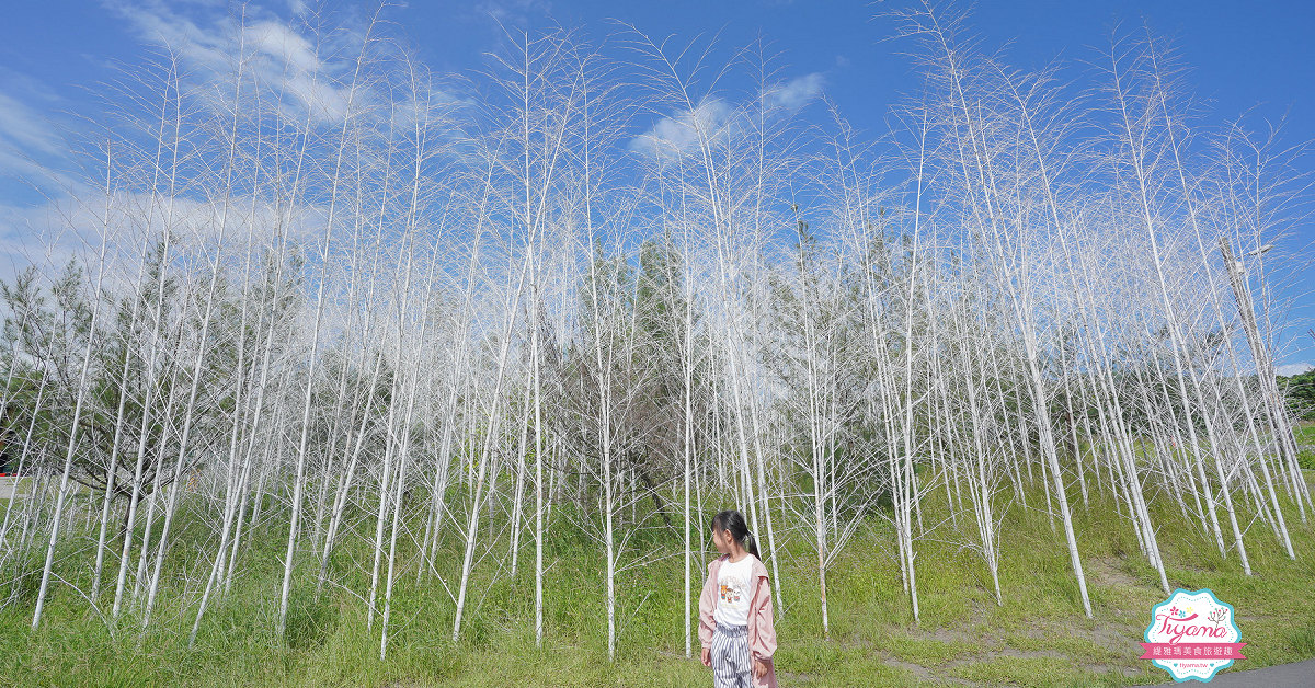 宜蘭免費景點 壯圍沙丘旅遊服務園區 戶外攝影棚般場景的