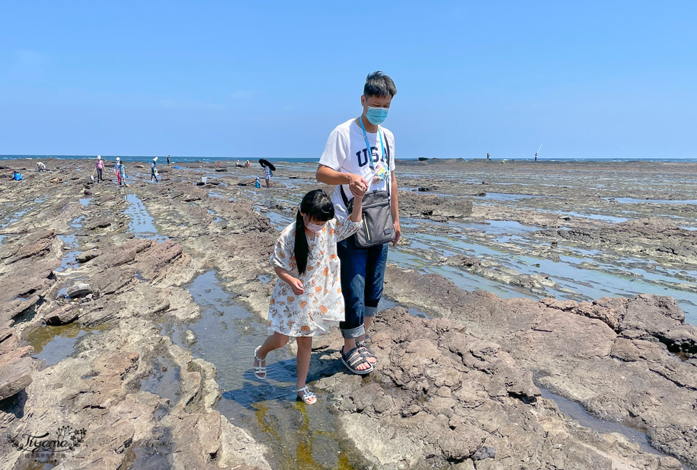 東北角海岸抓魚蟹景點|馬崗潮間帶：親子免費景點，天然翠綠地毯，充滿魅力的潮間帶生態！ @緹雅瑪 美食旅遊趣