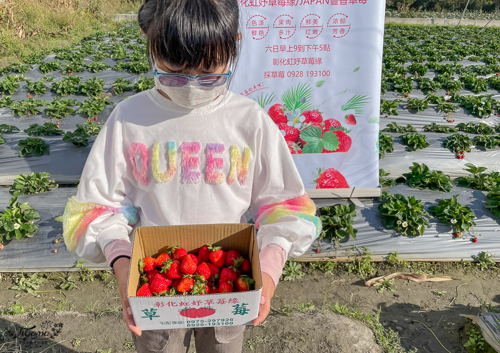 彰化草莓園《彰化虹妤草莓緣》日本豐香草莓，超濃郁草莓酸甜味 @緹雅瑪 美食旅遊趣