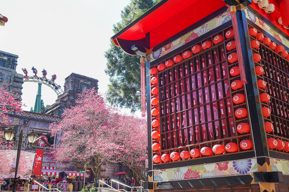 台灣第一夜櫻「九族文化村 櫻花祭」美呆了！絕美夜櫻、夜間加碼表演 @緹雅瑪 美食旅遊趣