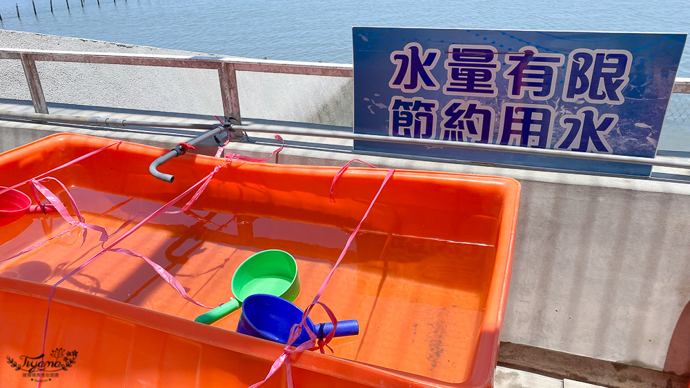 2022台南海鮮節|2022臺南七股海鮮節挖文蛤體驗(交通)，我們終於報名到來挖蛤蜊了~ @緹雅瑪 美食旅遊趣