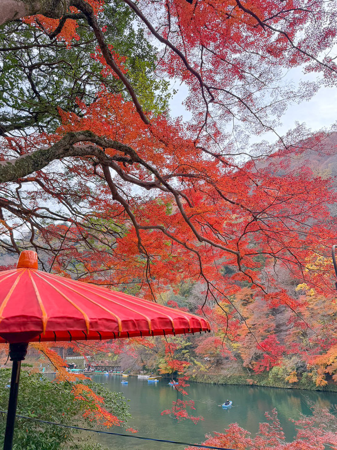 京都賞楓｜祐齋亭｜京都嵐山｜鏡面楓葉，染料藝術家工作室內的絕美秘境賞楓景點，宛如仙境！！ @緹雅瑪 美食旅遊趣