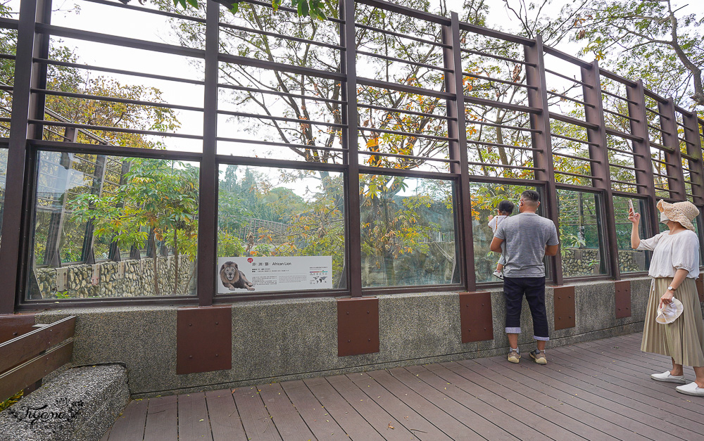 高雄壽山動物園全新開幕大改造！！兒童牧場、天空步道、黑熊山屋、水豚山屋、親水廣場、光室咖啡 @緹雅瑪 美食旅遊趣
