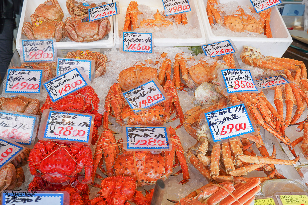 二条市場｜札幌景點：札幌市區海鮮市場，吃海鮮料理當早餐的好地方 @緹雅瑪 美食旅遊趣