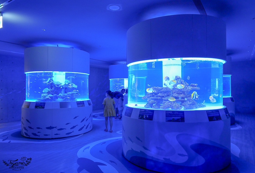 基隆景點。潮境智能海洋館：海洋系親子景點，潮境智能海洋館優惠門票 @緹雅瑪 美食旅遊趣