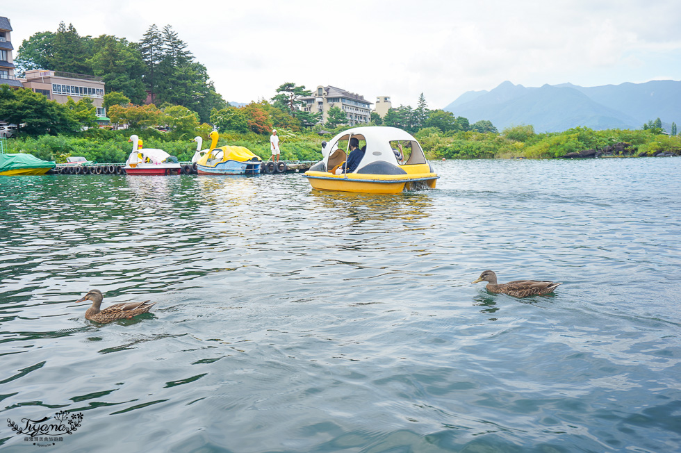 天啊~我們居然在富士河口湖踩天鵝船！！不玩富士山景觀纜車、河口湖遊覽船行程 @緹雅瑪 美食旅遊趣
