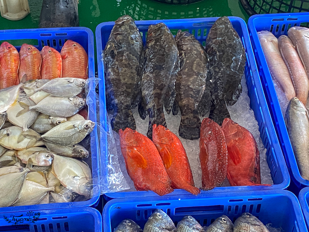 嘉義景點。東石觀光魚市：零售買魚市場買海鮮好去處，旁邊就有代料理餐廳 @緹雅瑪 美食旅遊趣