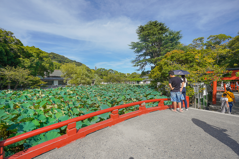 日本鎌倉 鶴岡八幡宮，鎌倉米其林景點，自祓所淨化身心 @緹雅瑪 美食旅遊趣
