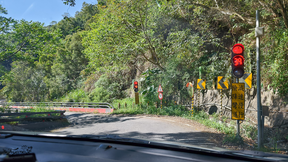 高雄賞櫻｜寶山二集團櫻花公園，開滿整片河津櫻的櫻花山坡公園，免費入園賞櫻 @緹雅瑪 美食旅遊趣