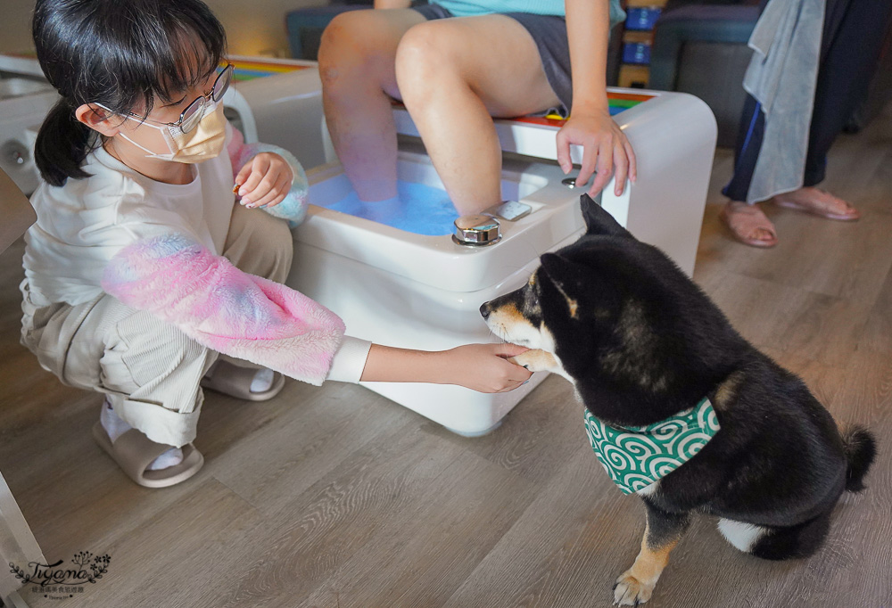 台南按摩店|府城小院足體按摩專門店,邊腳底按摩邊看電影露營風按摩專門店,近花園夜市 @緹雅瑪 美食旅遊趣 台南按摩店|府城小院足體按摩專門店,邊腳底按摩邊看電影露營風按摩專門店,近花園夜市 @緹雅瑪 美食旅遊趣