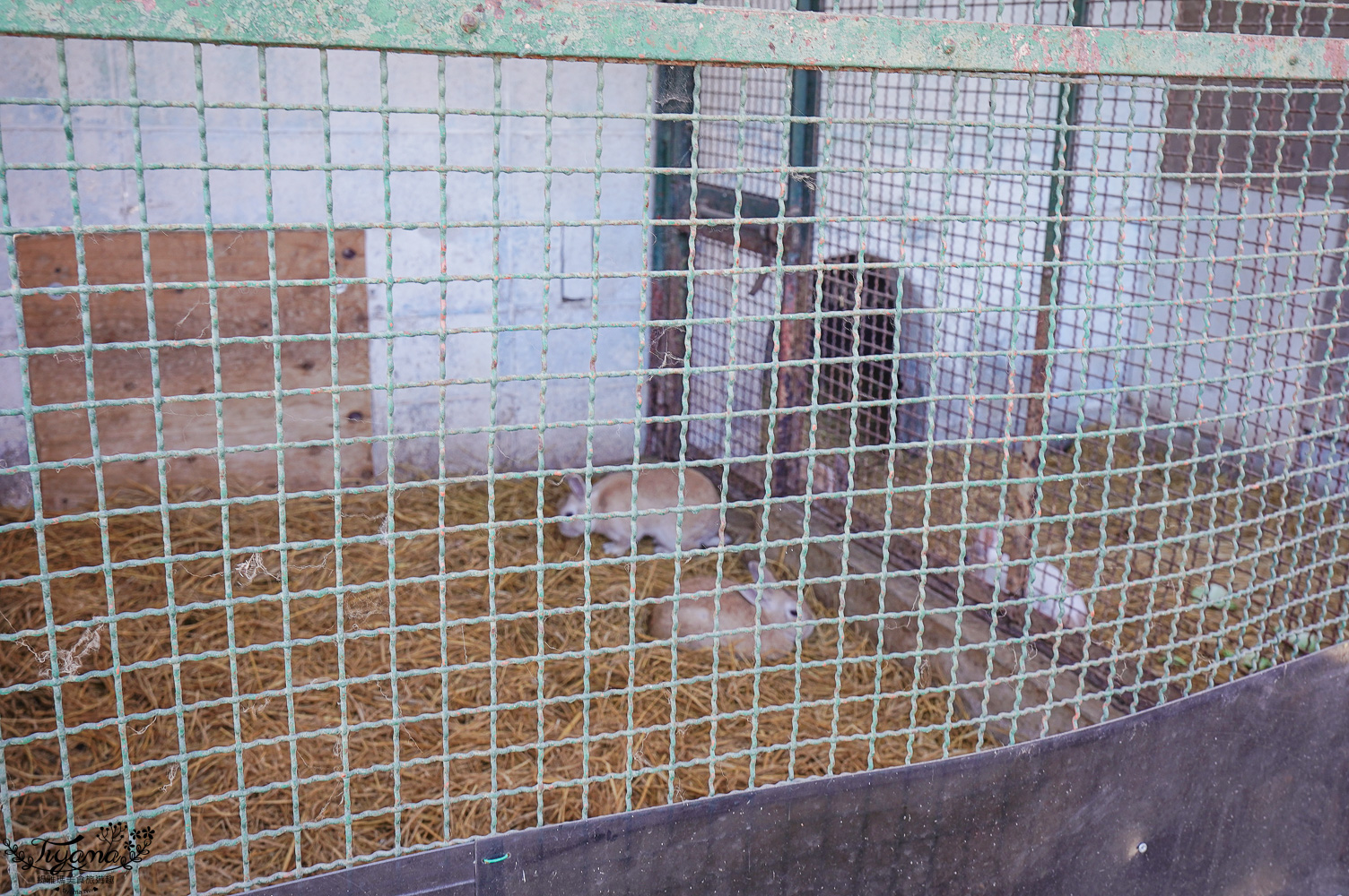 群馬沼田景點，沼田城跡｜沼田公園：沼田城跡公園 @緹雅瑪 美食旅遊趣