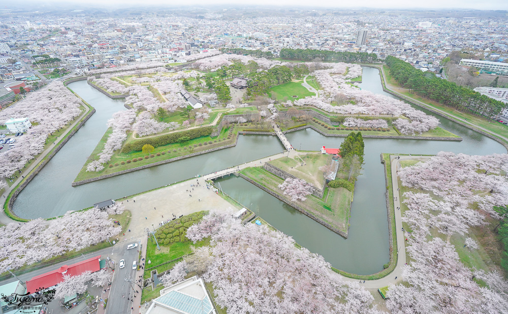 函館機場接送，從機場至函館市區不用千元！機場接送出租車 TOCOO！合法出租車 @緹雅瑪 美食旅遊趣