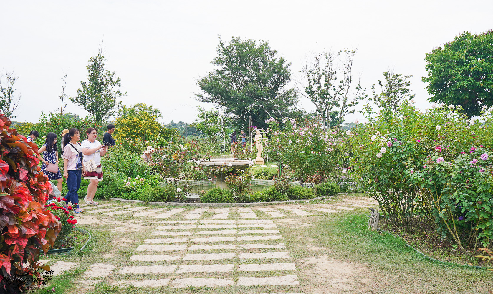 台南新景點.雅聞湖濱療癒森林:小人國歐式玫瑰花園,免門票中!! @緹雅瑪 美食旅遊趣 台南新景點.雅聞湖濱療癒森林:小人國歐式玫瑰花園,免門票中!! @緹雅瑪 美食旅遊趣