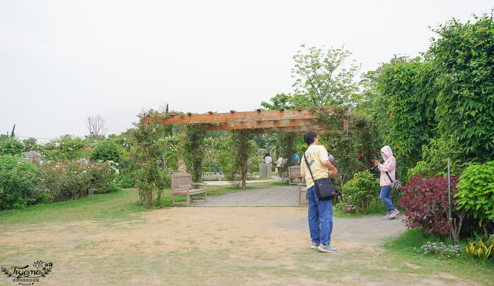 台南新景點．雅聞湖濱療癒森林：小人國歐式玫瑰花園，免門票中！！ @緹雅瑪 美食旅遊趣