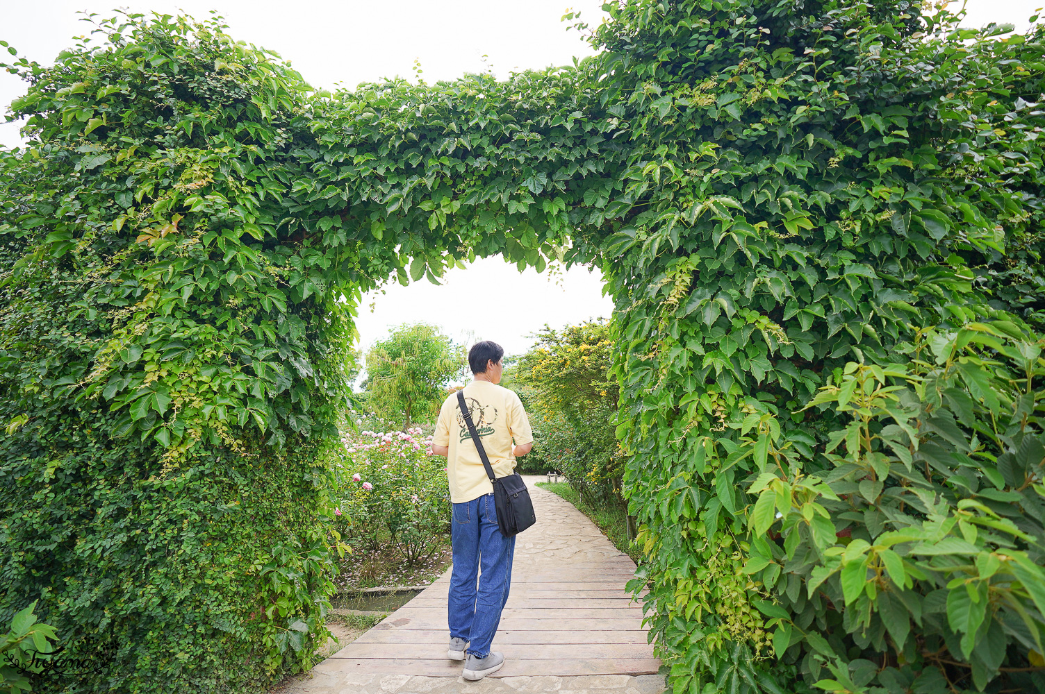 台南新景點.雅聞湖濱療癒森林:小人國歐式玫瑰花園,免門票中!! @緹雅瑪 美食旅遊趣 台南新景點.雅聞湖濱療癒森林:小人國歐式玫瑰花園,免門票中!! @緹雅瑪 美食旅遊趣