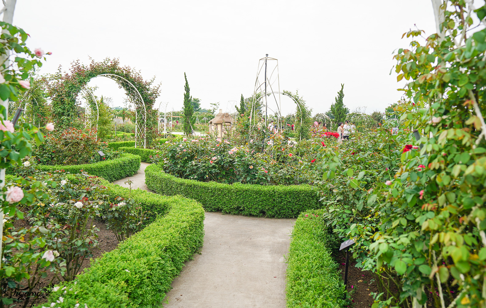 台南新景點.雅聞湖濱療癒森林:小人國歐式玫瑰花園,免門票中!! @緹雅瑪 美食旅遊趣 台南新景點.雅聞湖濱療癒森林:小人國歐式玫瑰花園,免門票中!! @緹雅瑪 美食旅遊趣