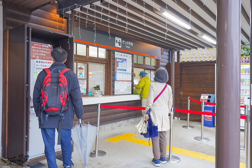 京都景點｜天橋立傘松公園｜丹後一宮 元伊勢 籠神社｜豬肉壽喜燒海鮮鍋松花堂御膳 @緹雅瑪 美食旅遊趣