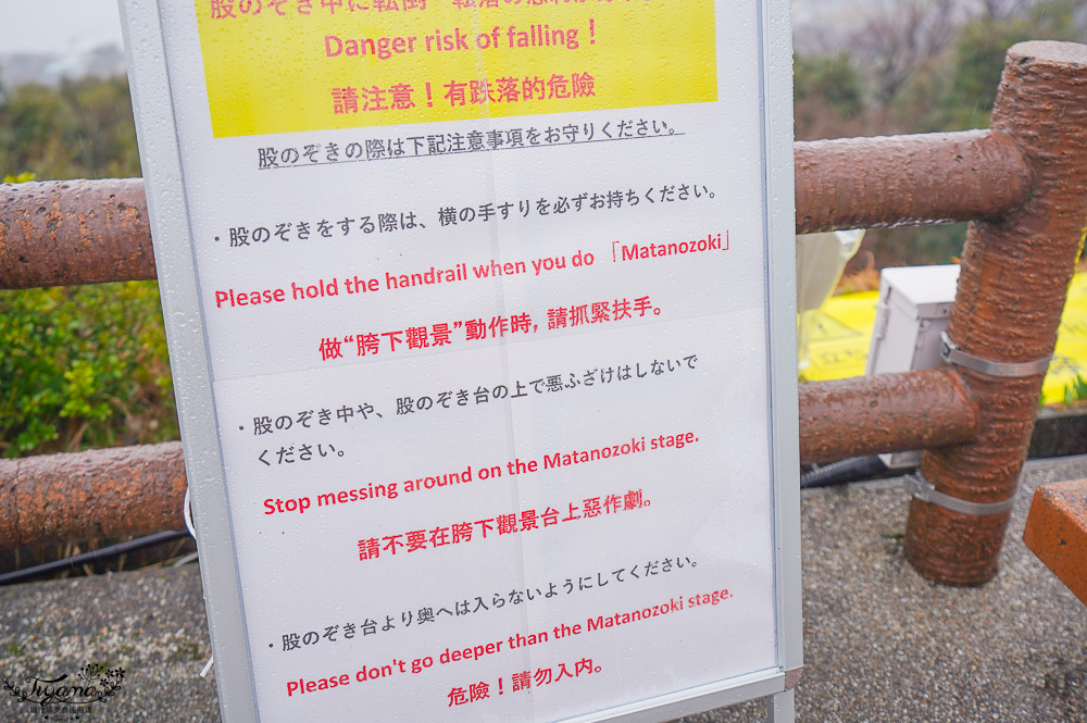 京都景點｜天橋立傘松公園｜丹後一宮 元伊勢 籠神社｜豬肉壽喜燒海鮮鍋松花堂御膳 @緹雅瑪 美食旅遊趣