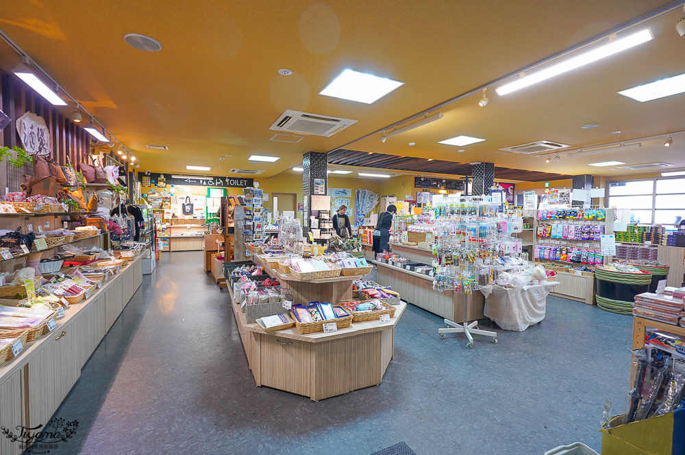 京都景點｜天橋立傘松公園｜丹後一宮 元伊勢 籠神社｜豬肉壽喜燒海鮮鍋松花堂御膳 @緹雅瑪 美食旅遊趣