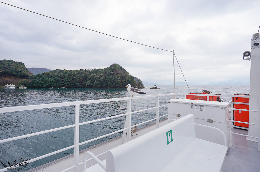 京都觀光船．伊根灣賞景觀光船，人氣海之京都景點「伊根灣古老舟屋」餵海鷗行程 @緹雅瑪 美食旅遊趣