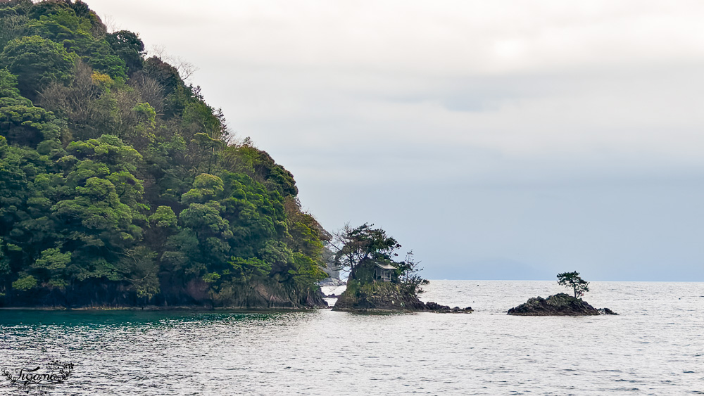 京都觀光船．伊根灣賞景觀光船，人氣海之京都景點「伊根灣古老舟屋」餵海鷗行程 @緹雅瑪 美食旅遊趣