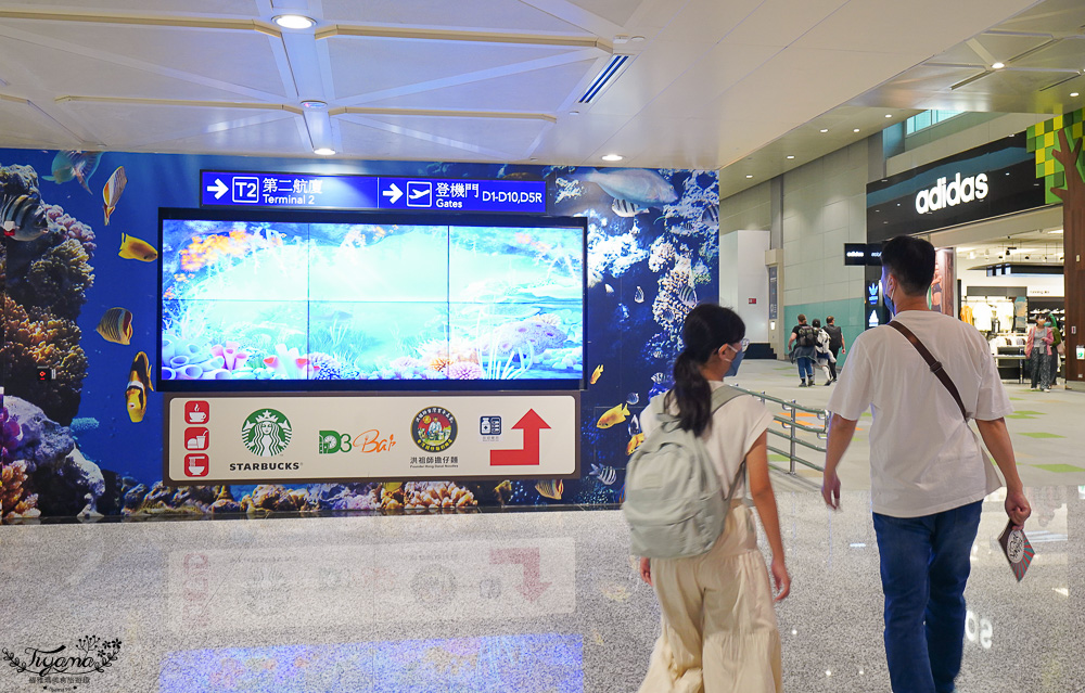 星宇航空第二航廈貴賓室，全新貴賓室開箱，越南清爽涼手捲、芋泥素肉鬆三明治、清粥小菜 @緹雅瑪 美食旅遊趣