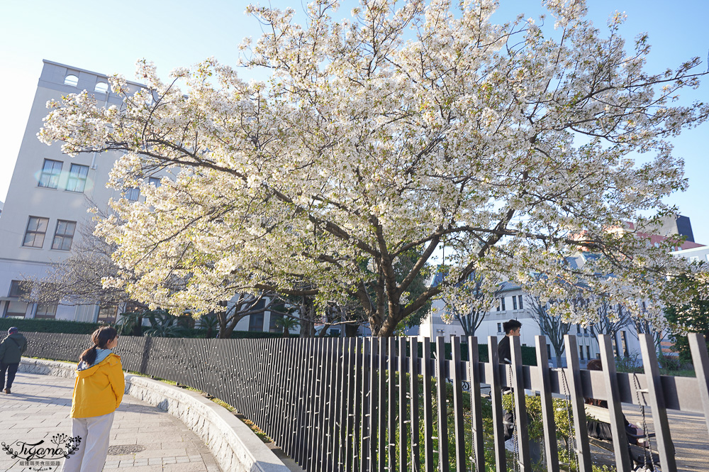 九州門司港之旅｜門司港一日遊：「門司港懷舊建築巡禮」散策漫遊必拍香蕉人！！ @緹雅瑪 美食旅遊趣