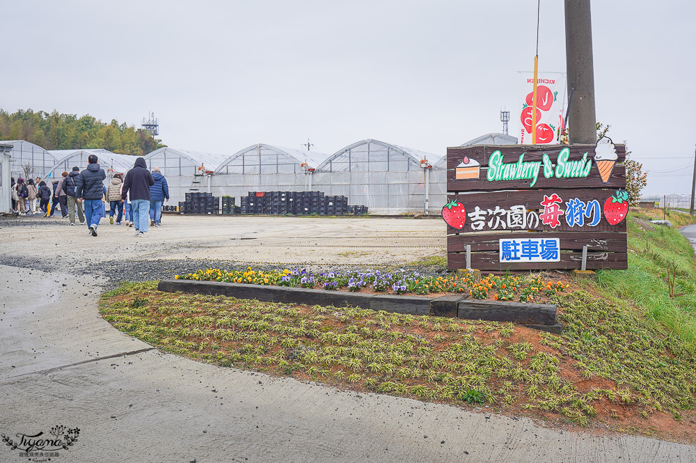 日本草莓吃到飽，現採現吃！熊本草莓園「吉次園」放題，熊本プリン水果布丁小店 @緹雅瑪 美食旅遊趣