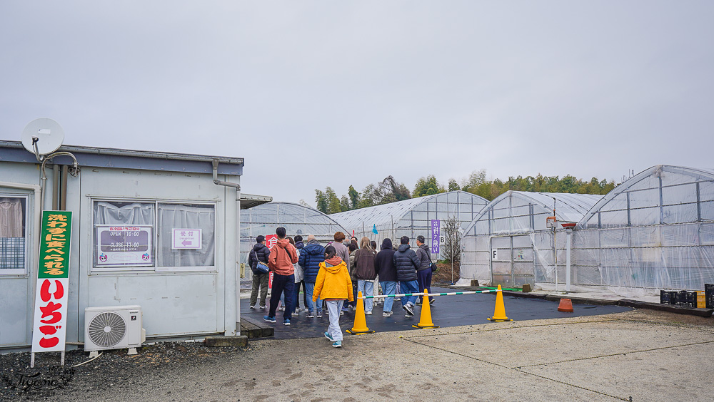 日本草莓吃到飽，現採現吃！熊本草莓園「吉次園」放題，熊本プリン水果布丁小店 @緹雅瑪 美食旅遊趣