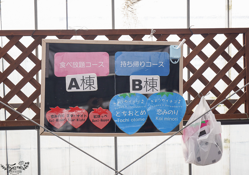 日本草莓吃到飽，現採現吃！熊本草莓園「吉次園」放題，熊本プリン水果布丁小店 @緹雅瑪 美食旅遊趣