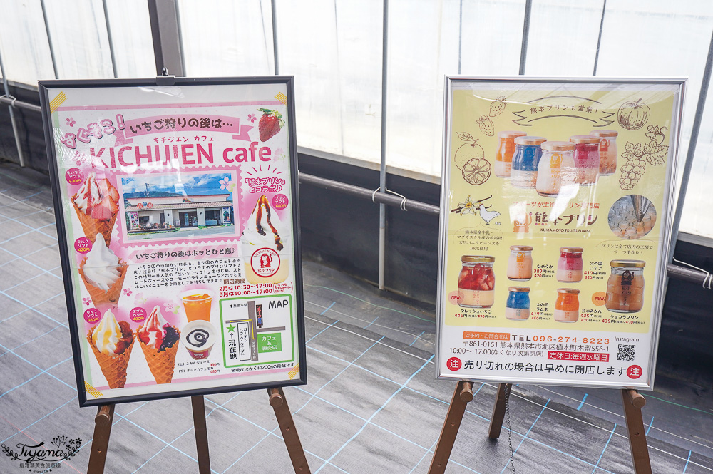 日本草莓吃到飽，現採現吃！熊本草莓園「吉次園」放題，熊本プリン水果布丁小店 @緹雅瑪 美食旅遊趣