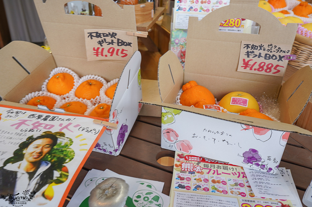 日本草莓吃到飽，現採現吃！熊本草莓園「吉次園」放題，熊本プリン水果布丁小店 @緹雅瑪 美食旅遊趣