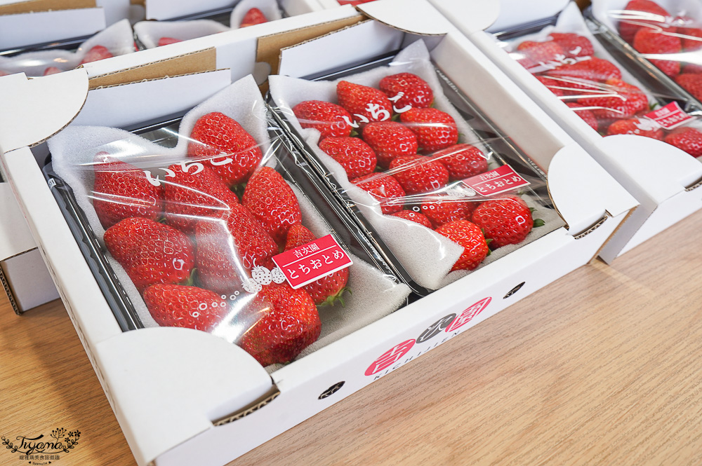 日本草莓吃到飽，現採現吃！熊本草莓園「吉次園」放題，熊本プリン水果布丁小店 @緹雅瑪 美食旅遊趣