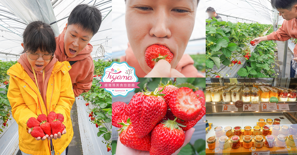 北海道夕張哈蜜瓜吃到飽｜JA夕張市 メロンドーム｜JA Yubari City Melon Dome，預約制夕張哈蜜瓜放題 @緹雅瑪 美食旅遊趣