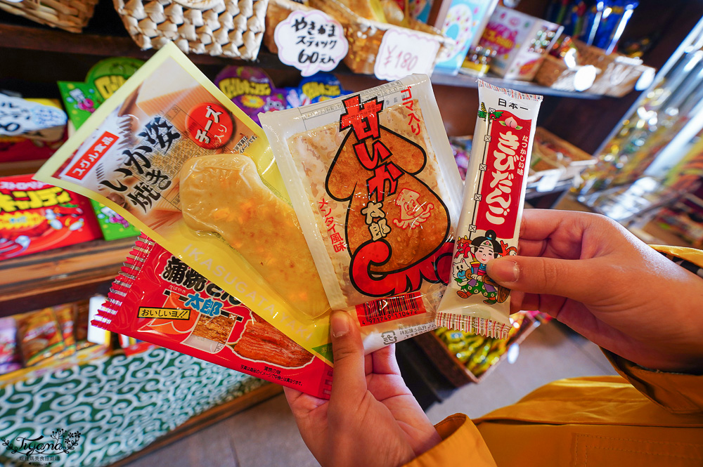 飛驒高山一日遊，飛驒高山白川3天2夜遊自駕之旅，第一天行程！！吃飛驒牛燒肉、逛高山飛驒老街、在地超市買水果 @緹雅瑪 美食旅遊趣
