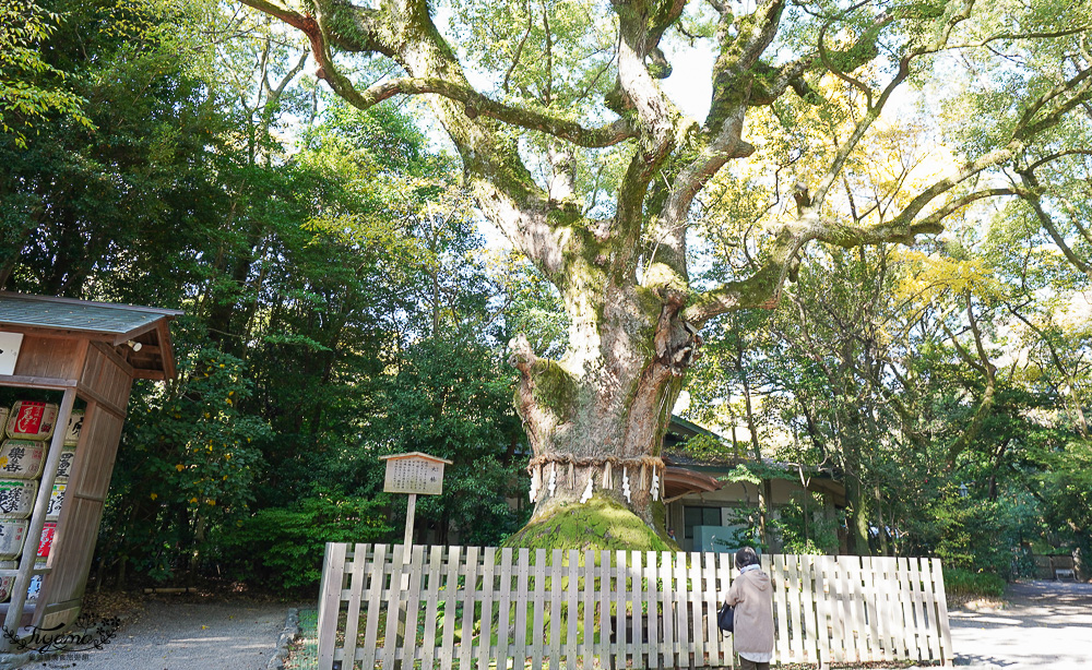 名古屋景點「熱田神宮」日本三大神宮之一！！ 神樂所、草薙館，名古屋必訪神社 @緹雅瑪 美食旅遊趣