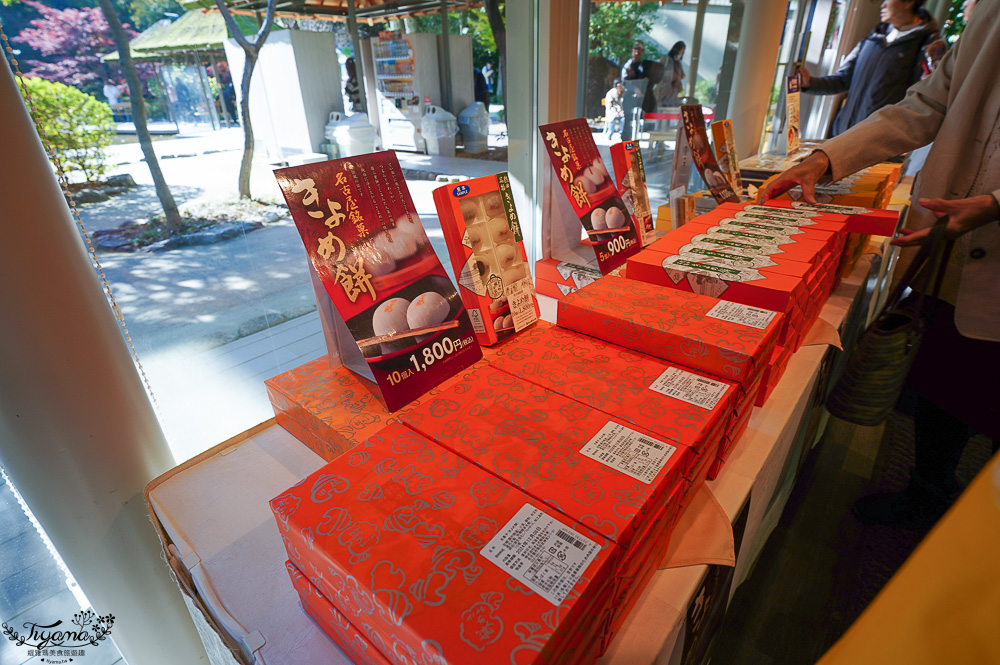 名古屋景點「熱田神宮」日本三大神宮之一！！ 神樂所、草薙館，名古屋必訪神社 @緹雅瑪 美食旅遊趣