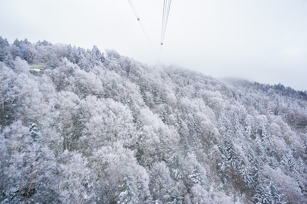 飛驒高山古川奧飛驒一日遊，飛驒高山白川3天2夜遊自駕之旅，第二天行程！新穗高空纜車、高山陣屋、飛驒古川 @緹雅瑪 美食旅遊趣