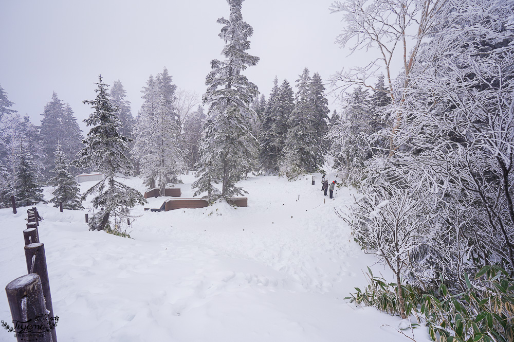 奧飛驒景點「新穗高空纜車」阿爾卑斯群山美景，新穗高空纜車全日本唯一兩層纜車，米其林2級美景 @緹雅瑪 美食旅遊趣