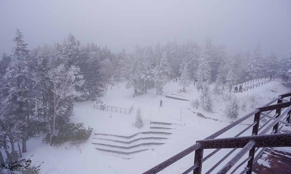 奧飛驒景點「新穗高空纜車」阿爾卑斯群山美景，新穗高空纜車全日本唯一兩層纜車，米其林2級美景 @緹雅瑪 美食旅遊趣