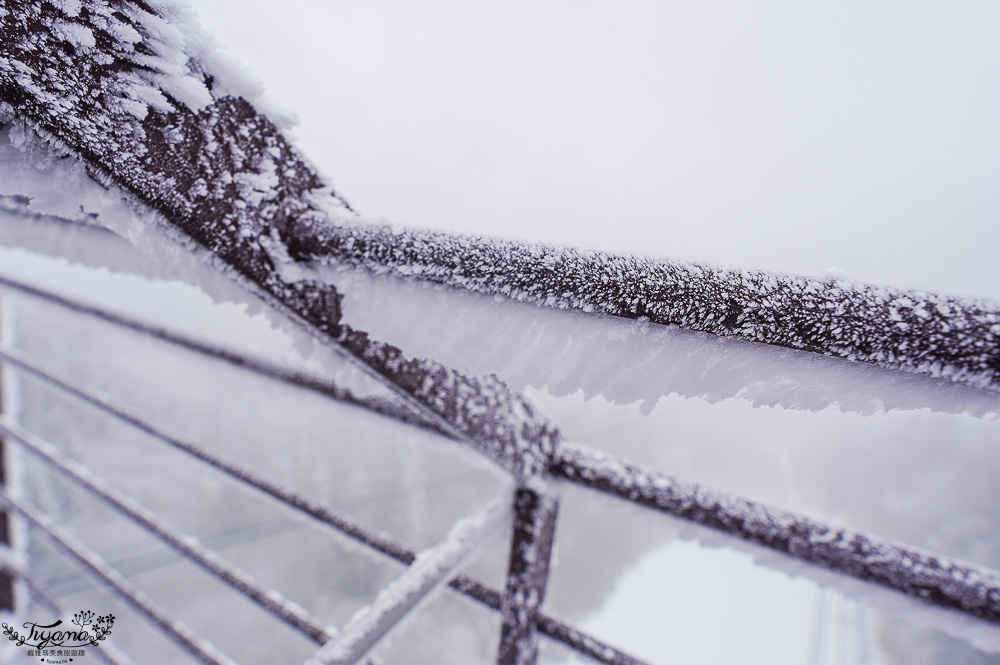 奧飛驒景點「新穗高空纜車」阿爾卑斯群山美景，新穗高空纜車全日本唯一兩層纜車，米其林2級美景 @緹雅瑪 美食旅遊趣