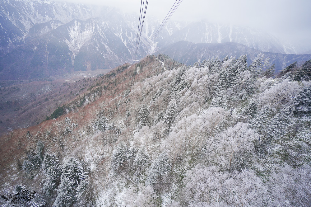 奧飛驒景點「新穗高空纜車」阿爾卑斯群山美景，新穗高空纜車全日本唯一兩層纜車，米其林2級美景 @緹雅瑪 美食旅遊趣