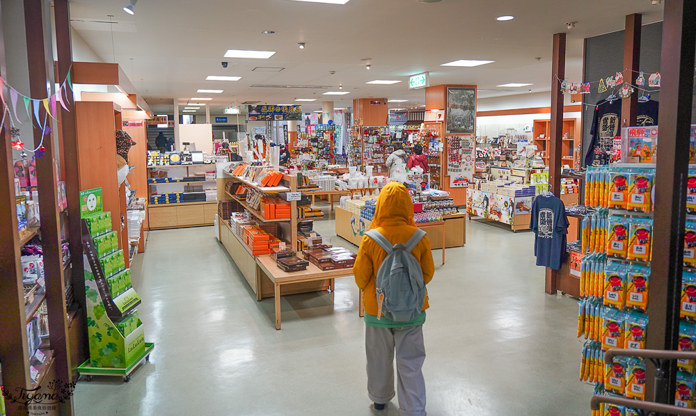 奧飛驒景點「新穗高空纜車」阿爾卑斯群山美景，新穗高空纜車全日本唯一兩層纜車，米其林2級美景 @緹雅瑪 美食旅遊趣