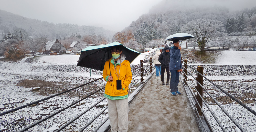 岐阜景點．迷人的白川合掌村「白川鄉合掌造聚落」一生必訪的世界文化遺產 @緹雅瑪 美食旅遊趣