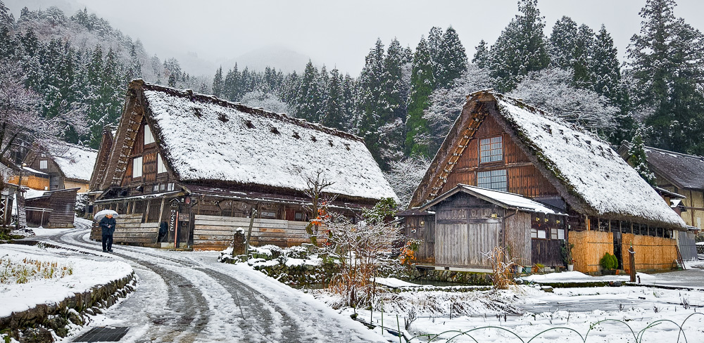岐阜景點．迷人的白川合掌村「白川鄉合掌造聚落」一生必訪的世界文化遺產 @緹雅瑪 美食旅遊趣