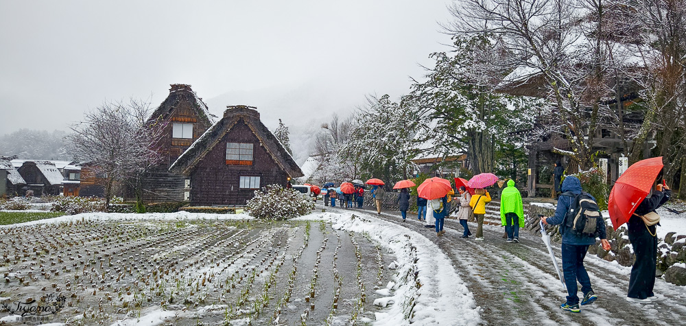 岐阜景點．迷人的白川合掌村「白川鄉合掌造聚落」一生必訪的世界文化遺產 @緹雅瑪 美食旅遊趣